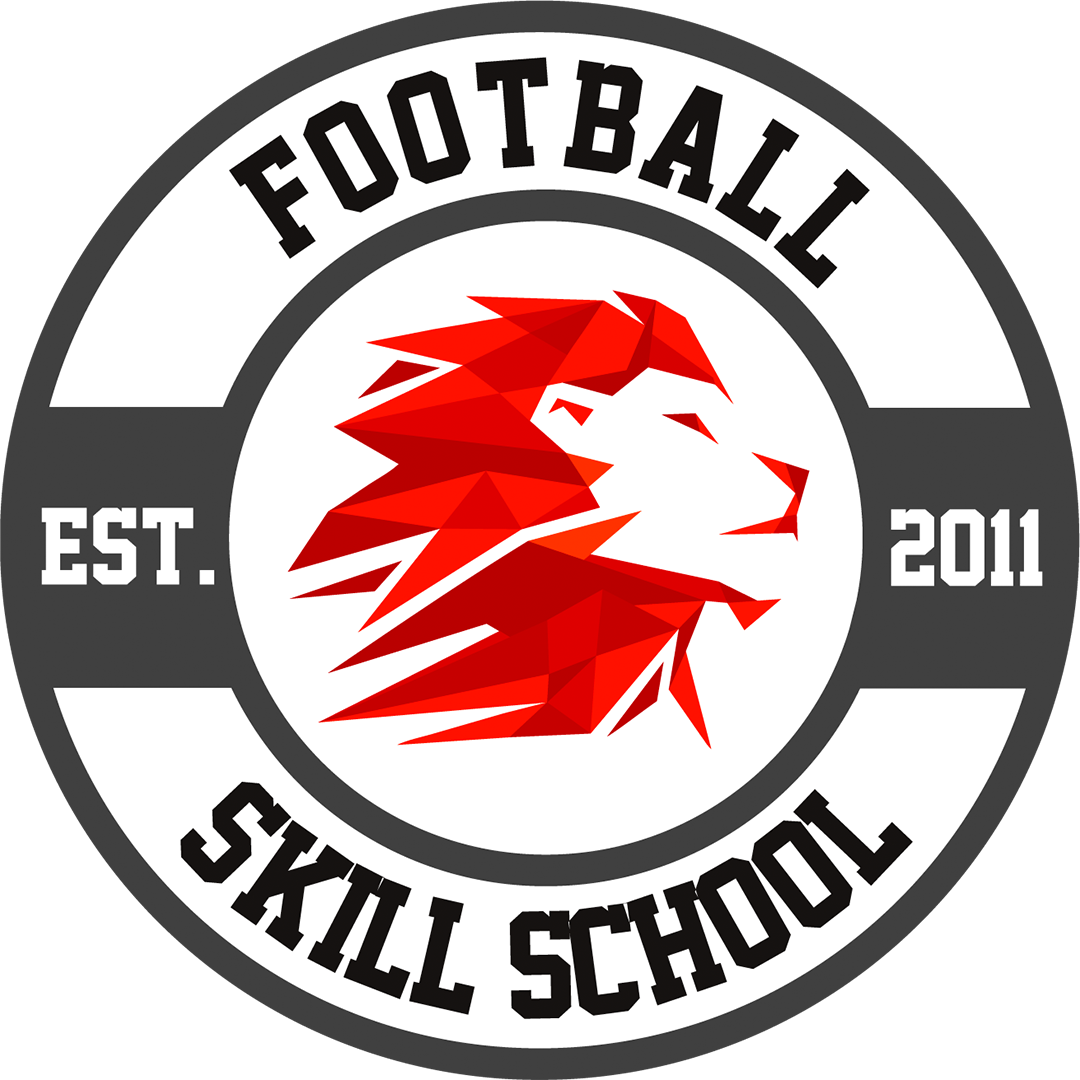 Логотип ШФМ